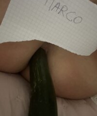 IMG_2566.jpeg
