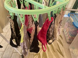 IMG_9022.jpeg