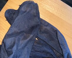 IMG_6248.jpeg