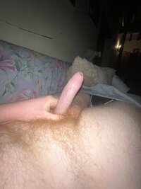IMG_0364.jpeg