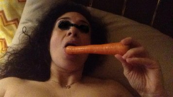 carota censu.JPG