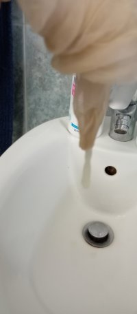 IMG_20240620_081727.jpg