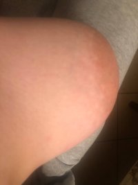 IMG_3786.jpeg