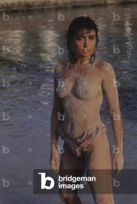 2504328.jpg