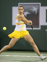 fla8bee06d3387709e48a45e41008617565.jpg