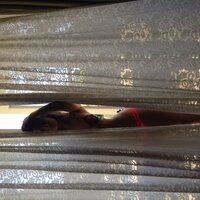 IMG_2344.JPG