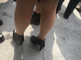 3184.jpg