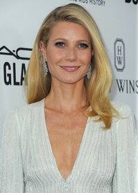 gwyneth paltrow al gala 07.jpg