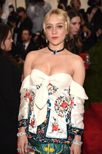 chloe sevigny al gala 05.jpg