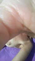 IMG_20201027_151001.jpg