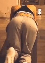 20201214_150201.gif