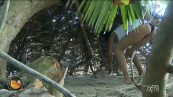 fl (1).png