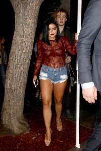 ariel winter al night 08.jpg