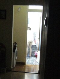 825_1000.jpg