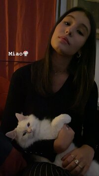V (1).jpg