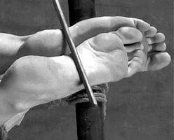 Bastinado.JPG