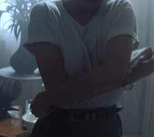 ssth2.gif