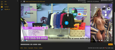 screenshot-gofile.io-2023.05.16-01_04_16.jpg