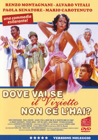 Dove vai se il vizietto non ce l'hai (1979).jpeg