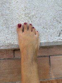 PIE__837138961.jpg