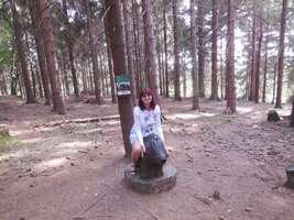 DSCN3148.jpg